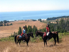 USA-California-Redwood Coast Ride